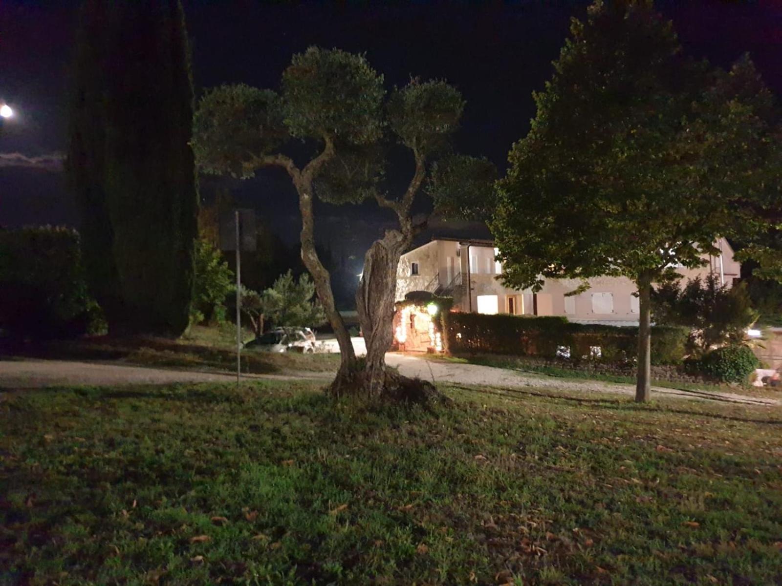 Agriturismo Le Querce Bomarzo Bagian luar foto